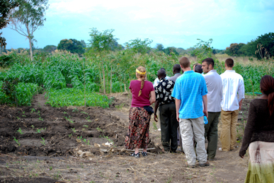 The project team inspects the fields of corn, grown for the calvary Feeding Center in Bangula, Malawi